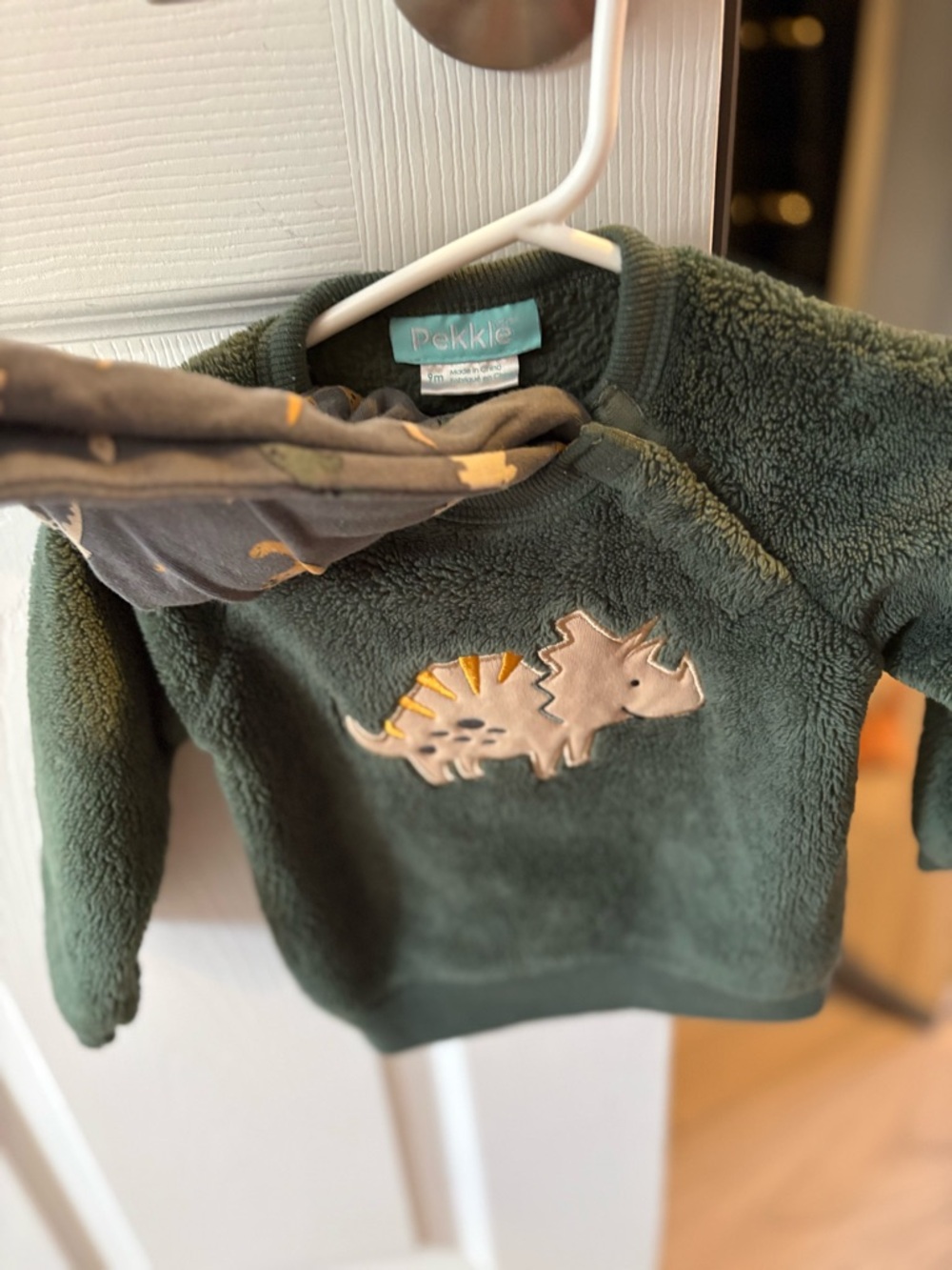 Green Sherpa Dino Sweatshirt for Kids